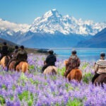 Ride horses