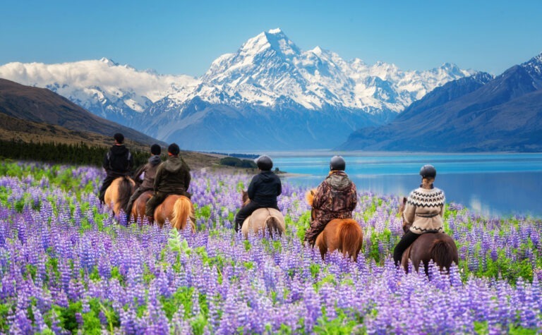 Ride horses