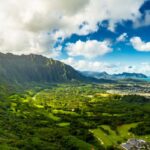 Hawaii Banner