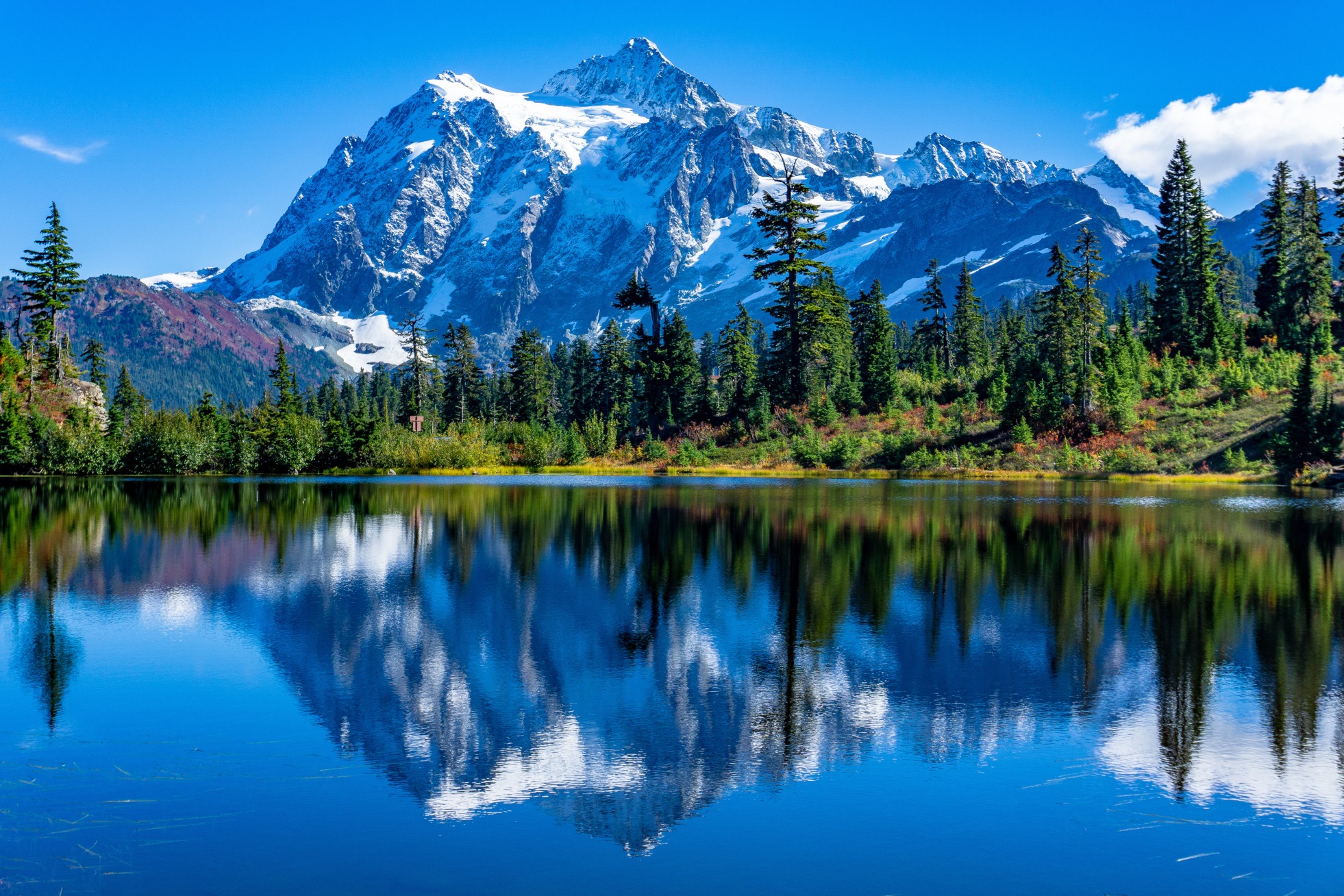 landscape of river