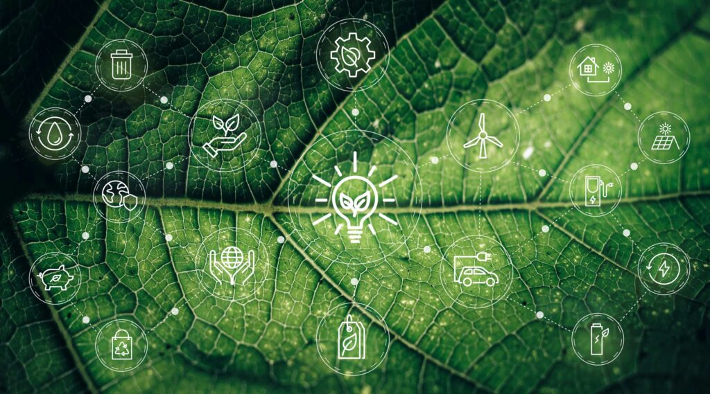 Sustainable business practices