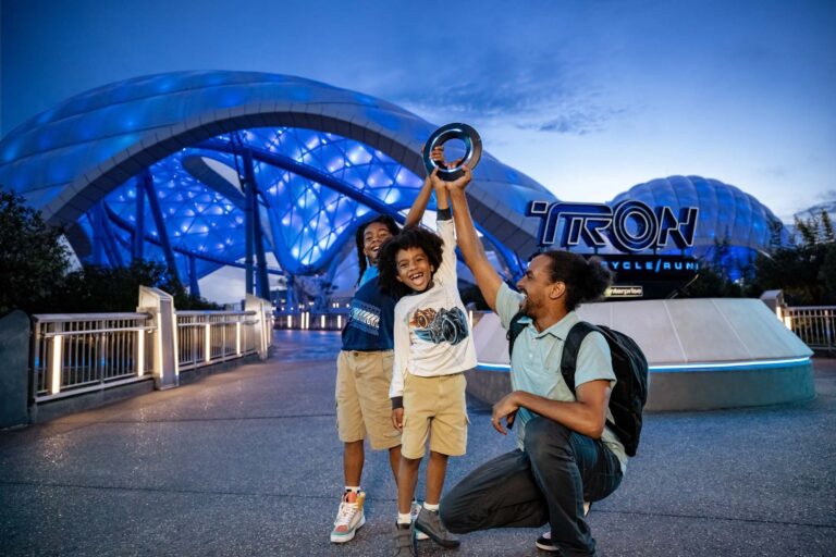 Disney Parks