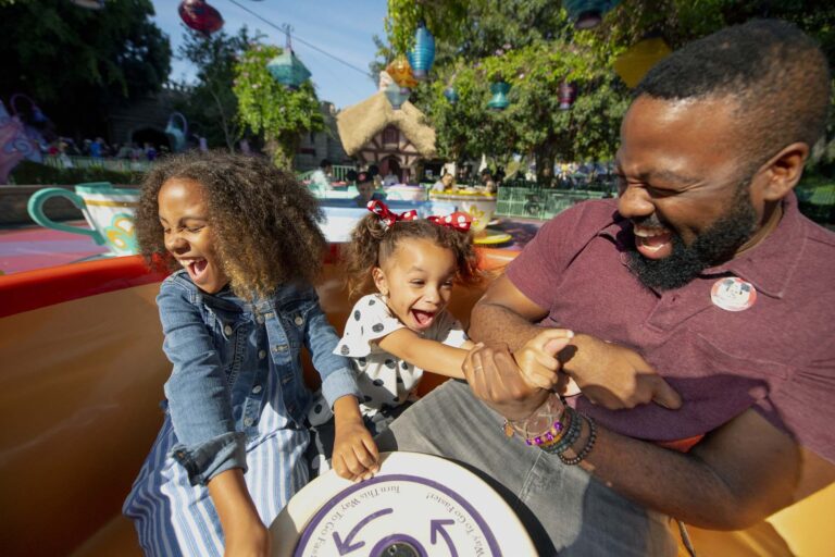 Disney Parks