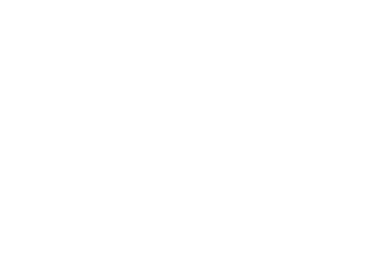 globus_white