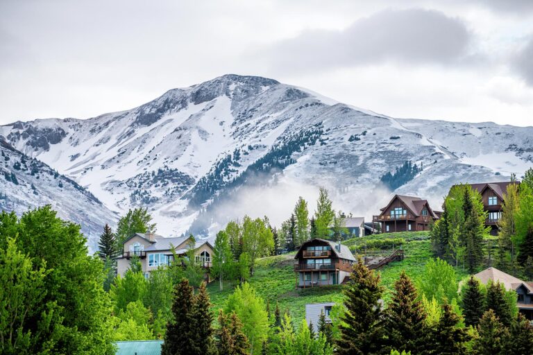 Ski