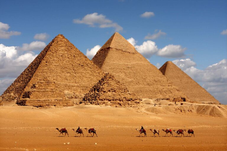 pyramids giza cairo in egypt with camel caravane