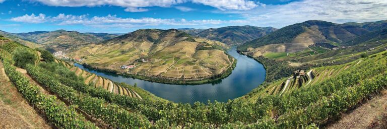 Douro Valley River Cruise Highlights