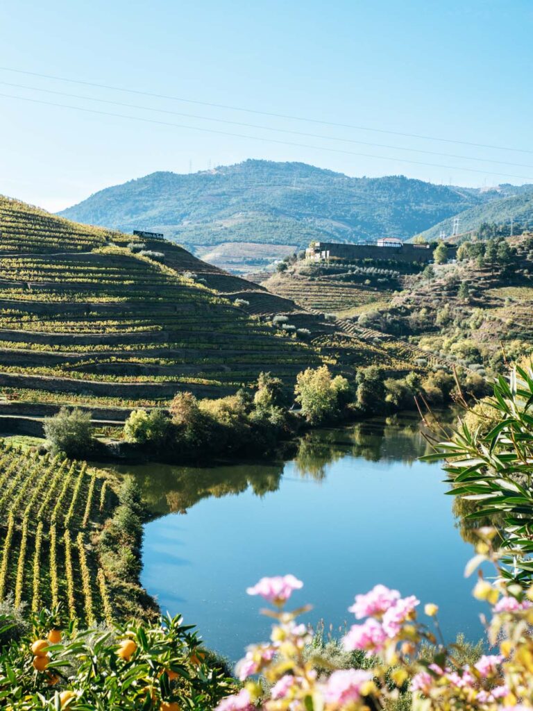 Douro Valley River Cruise Highlights