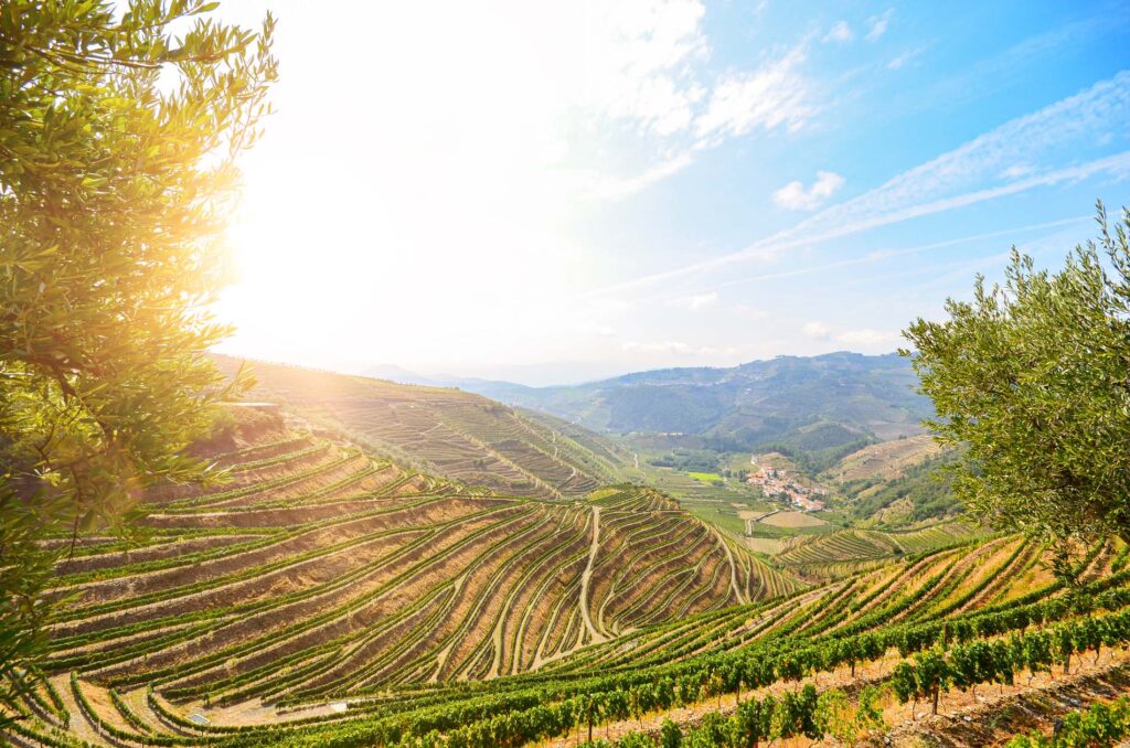 Douro Valley River Cruise Highlights