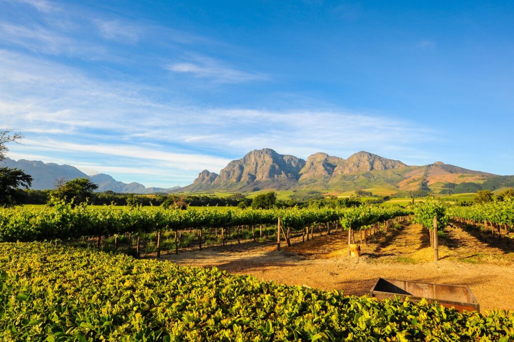 Stellenbosch Africa