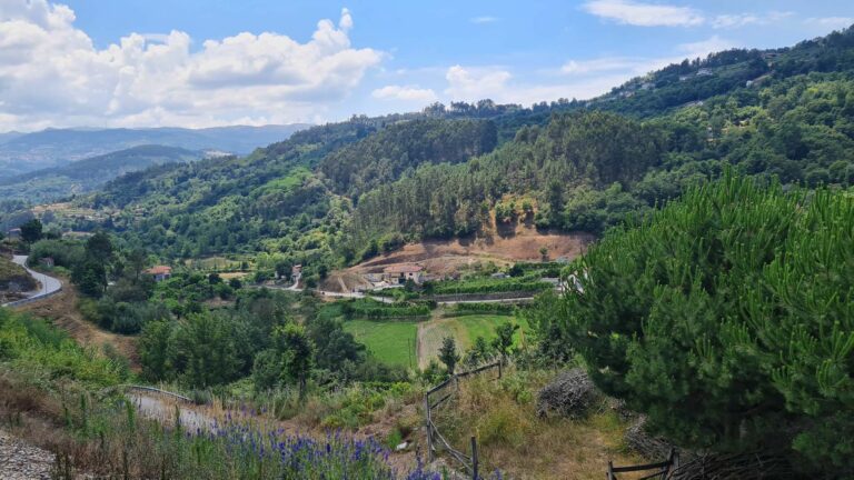 Douro Valley River Cruise Highlights