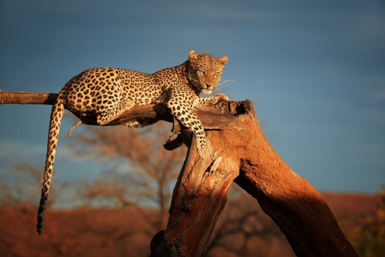Namibia