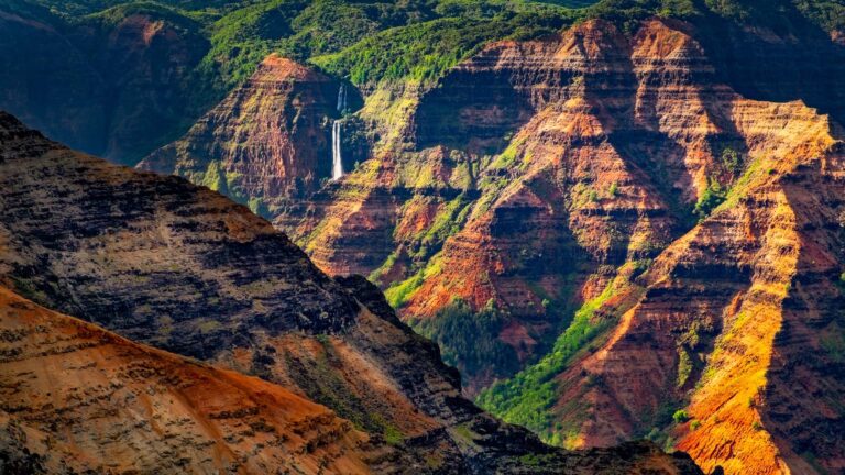 Hawaii Tour