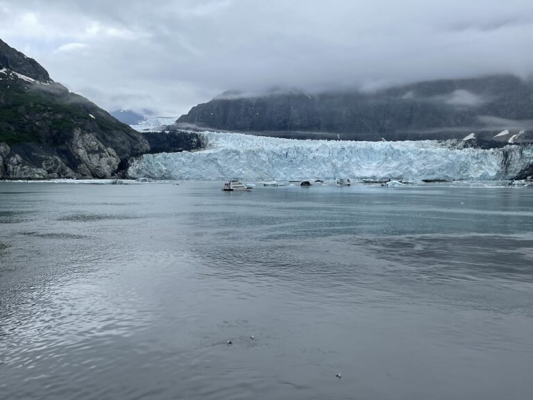 Alaska Yukon Group