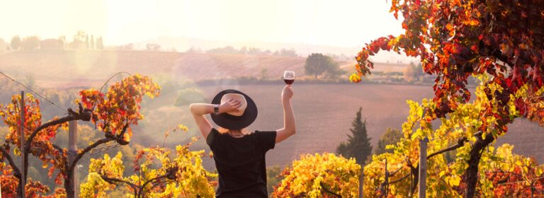 wine country