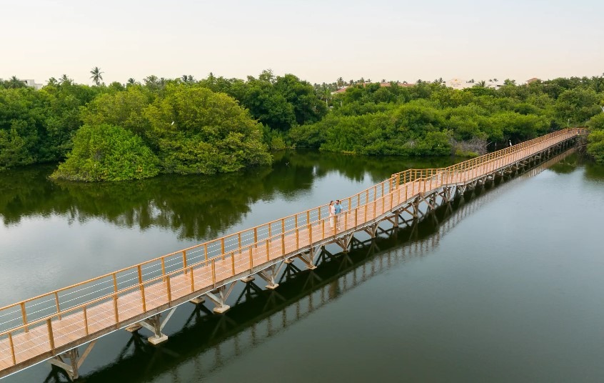 dreams-royal-beach-punta-cana-mangrove