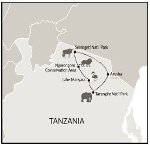 On Safari in Tanzania