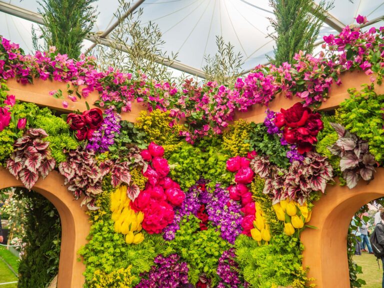 LONDON, UK - MAY 25, 2017: RHS Chelsea Flower Show.