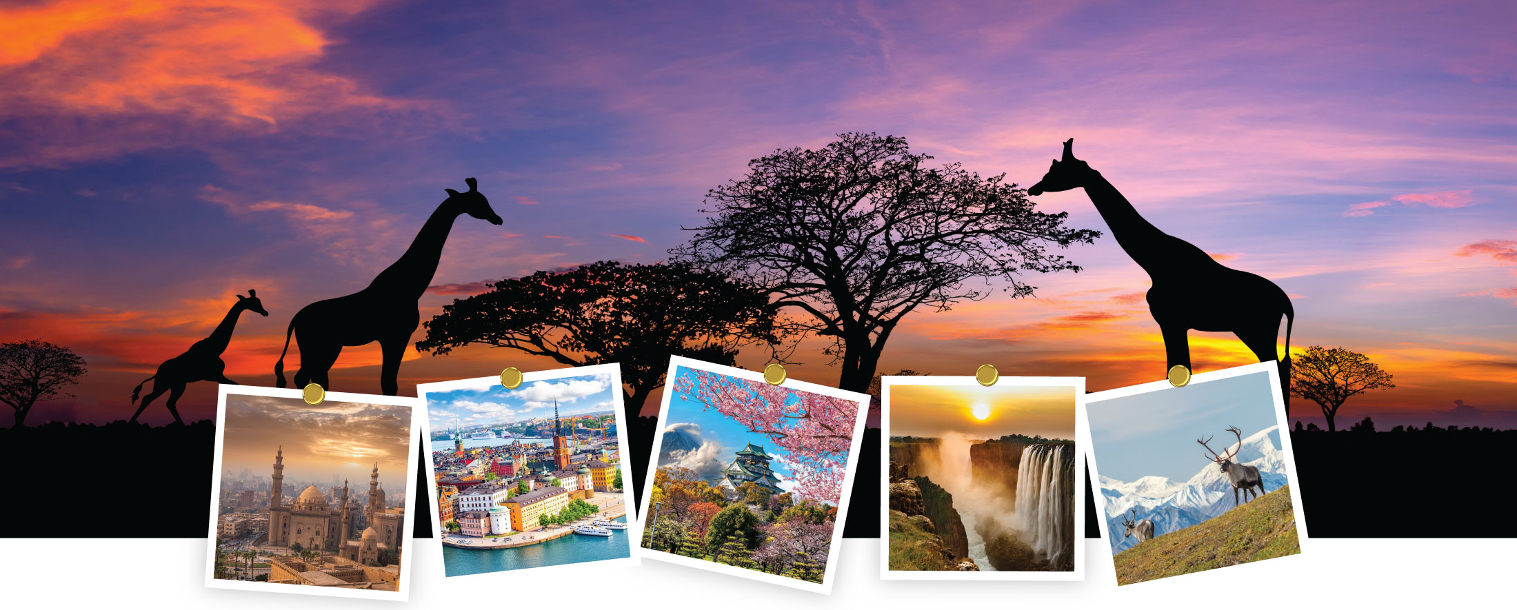 Fox Group Vacations