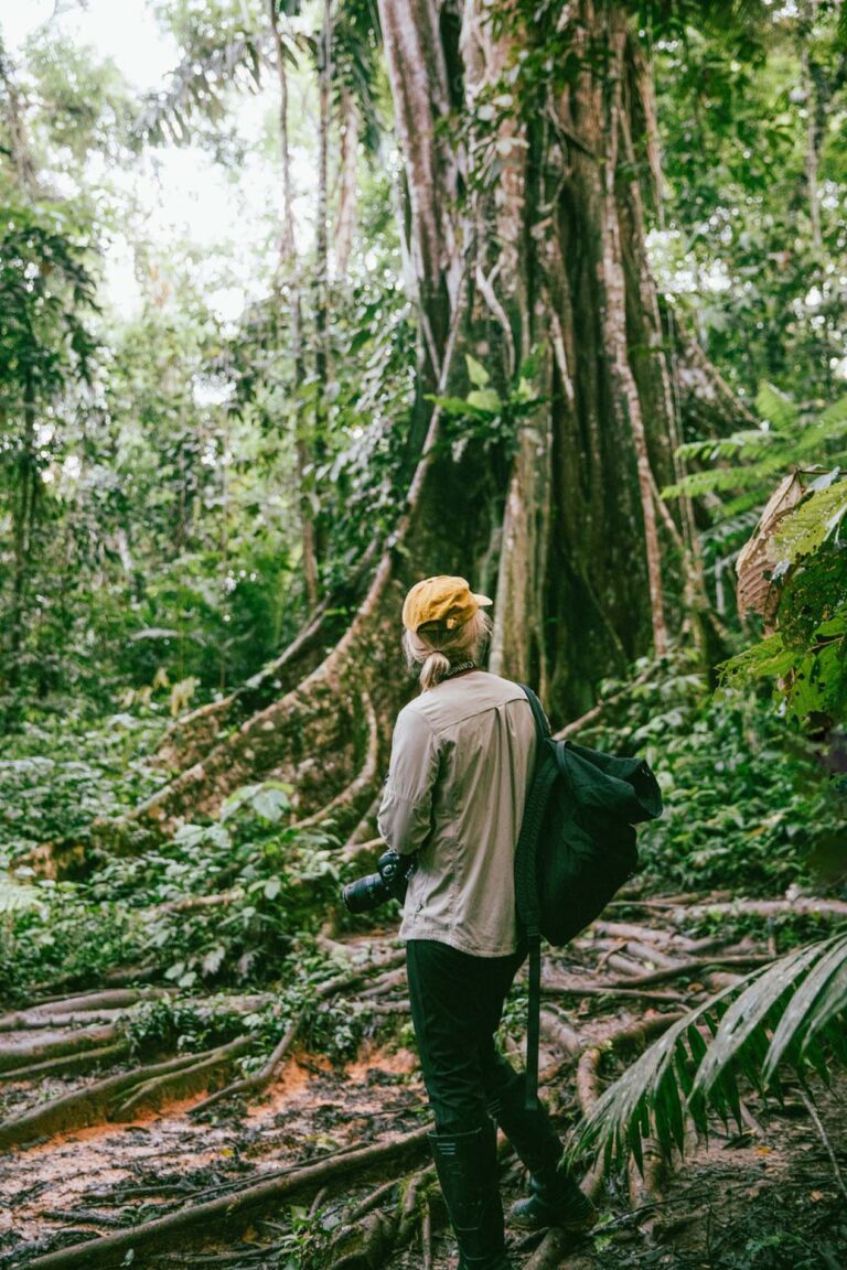 Amazon+-+Jungle+Trekking+-+01