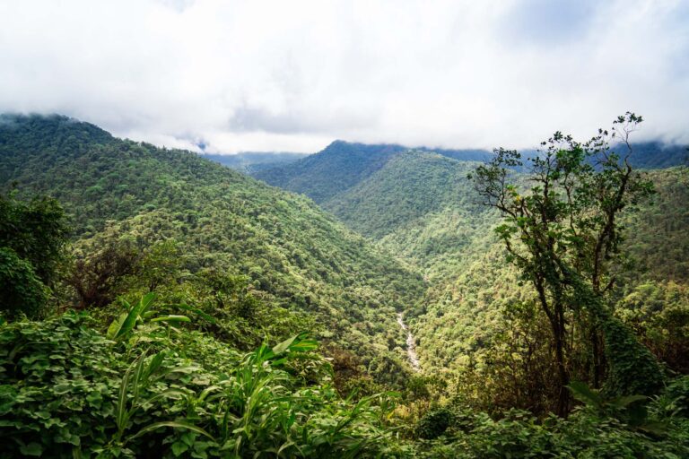 The road from San Jose to Guapiles is leading through the Braulio Carrillo National Park, which has very high mountains and deep valleys. The road was breathtaking for the car ans so are the views.
