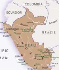 Pure Amazon