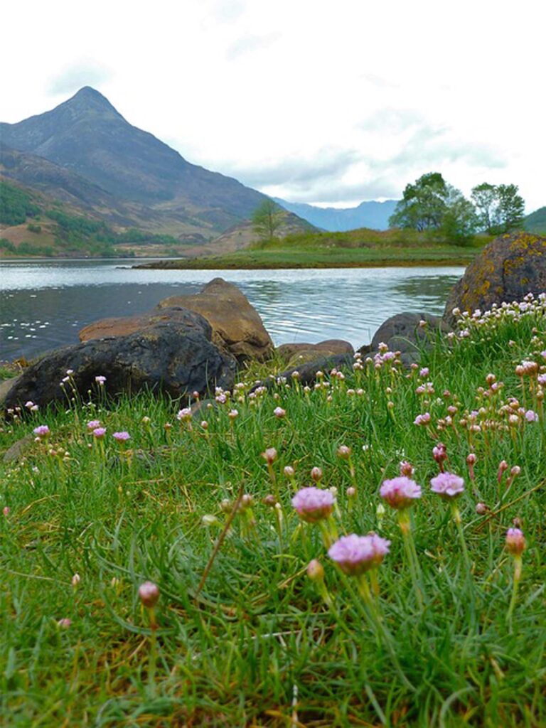glencoe-361797_640